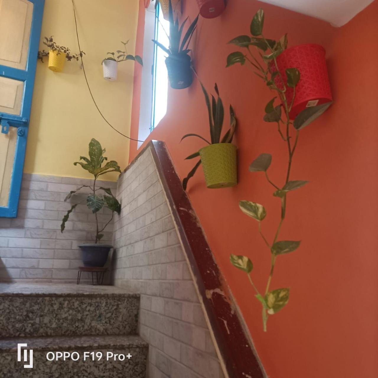 Home Stay Suraj Inn 瓦拉纳西 外观 照片